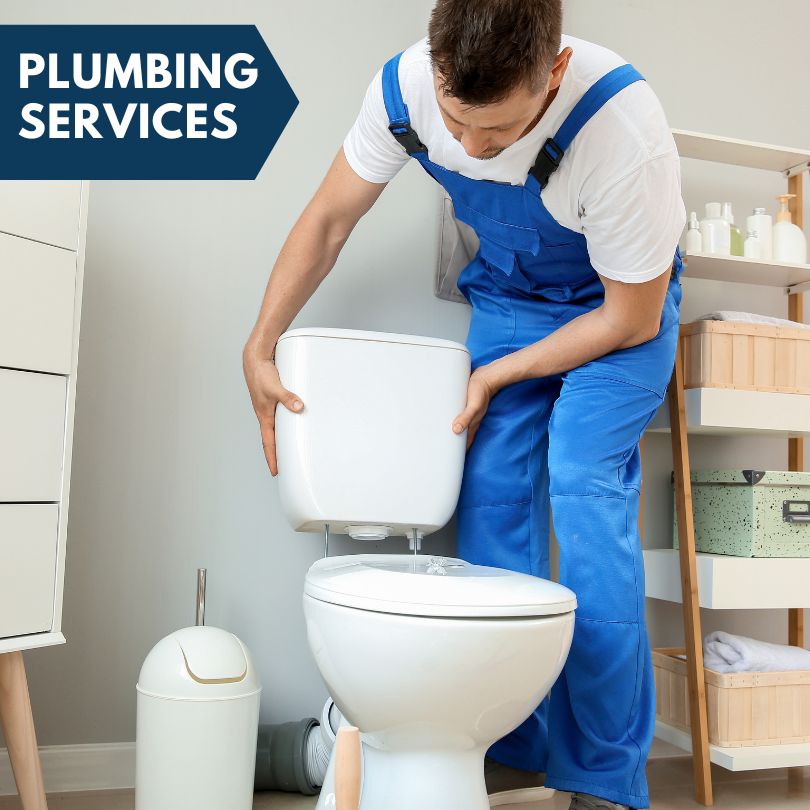 Plumbing Company in Clarence, IA